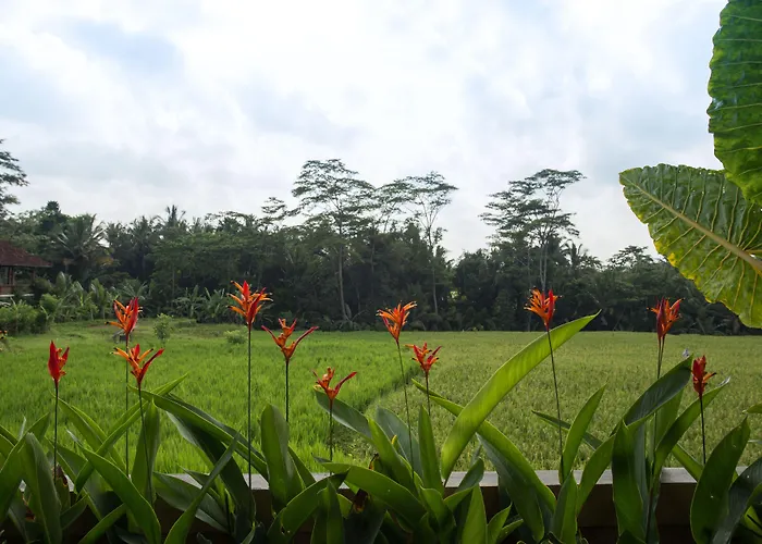 Alosta Luxury Private Villa Ubud