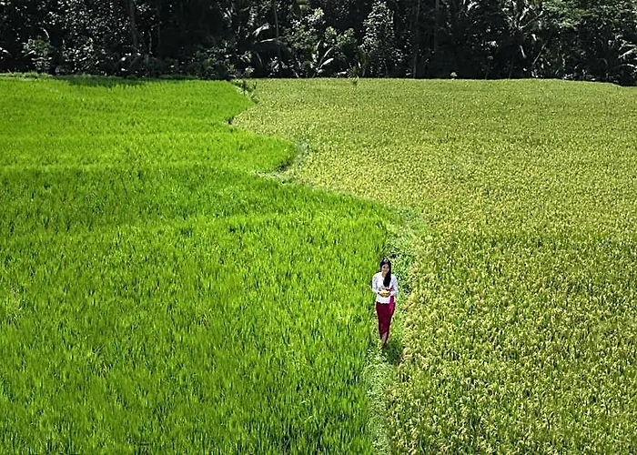 Alosta Luxury Private Villa Ubud