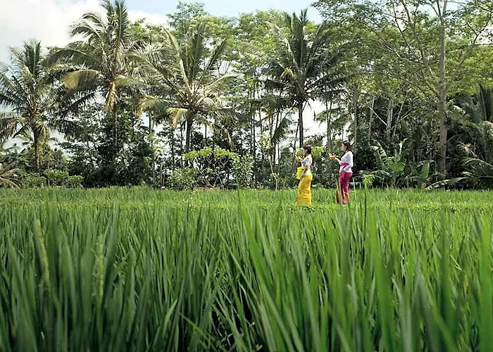 Alosta Luxury Private Villa Ubud